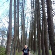  ,   , 41 ,   ,   , 