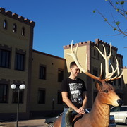 ���������� ���������, ���� ������� ���������, 33 ����, ������������ ��� ������, ����� � ���������, c�������� ���������