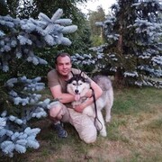 ���������� ������ ��������, ���� ������� ���������, 50 ���, ������������ ��� c�������� ���������