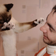 ���������� ������, ���� ������� Rodion, 42 ����, ������������ ��� ������