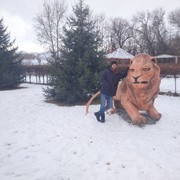 ���������� ������, ���� ������� ������, 36 ���, ������������ ��� ������, ����� � ���������, c�������� ���������