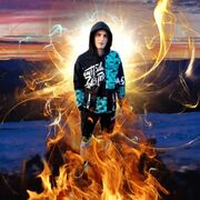 ���������� �����, ���� ������� ���������, 37 ���, ������������ ��� ����� � ���������, c�������� ���������