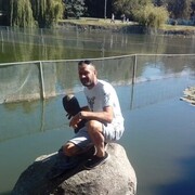 ���������� �������, ���� ������� ��������, 44 ����, ������������ ��� c�������� ���������, ���������