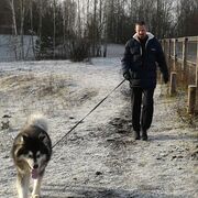 ���������� �������, ���� ������� ������, 53 ����, ������������ ��� ������, ����� � ���������, c�������� ���������