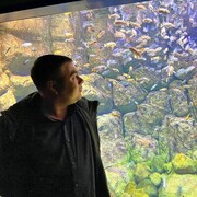 ���������� ���������, ���� ������� ��������, 37 ���, ������������ ��� ������, ����� � ���������