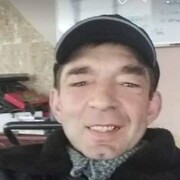  ,   , 51 ,   ,   