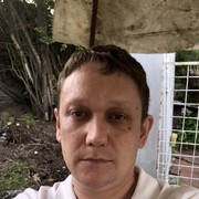  ,   , 44 ,   