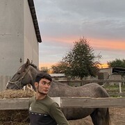  ,   , 24 ,   ,   , 
