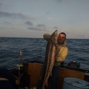  ,   Ramiz, 47 ,  