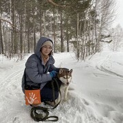 ���������� �����������, ���� ������� �����, 25 ���, ������������ ��� ����� � ���������, c�������� ���������, ���������