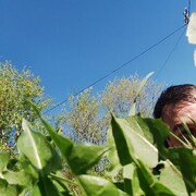  ,   , 38 ,   ,   