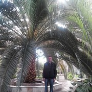 ���������� ���������, ���� ������� ���������, 52 ����, ������������ 