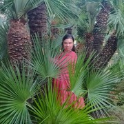  ,   , 27 ,   ,   , c 