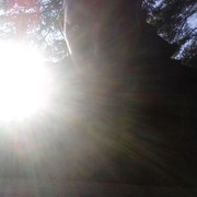 ���������� ������������, ���� ������� �����, 39 ���, ������������ ��� ������, ����� � ���������, c�������� ���������