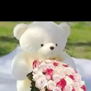 ���������� ���������, ���� ������� Toxa, 34 ����, ������������ ��� ������, ����� � ���������, c�������� ���������, ���������