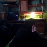 ���������� ������ �����, ���� ������� ���������, 48 ���, ������������ ��� ������, ����� � ���������, c�������� ���������