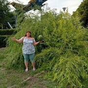  ,   , 33 ,   