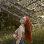 ���������� ���������, �����