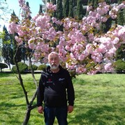 ���������� ������, ���� ������� �����, 62 ����, ������������ ��� c�������� ���������