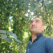 ���������� ���������, ���� ������� Alisher, 41 ���, ������������ ��� ������, ����� � ���������, c�������� ���������