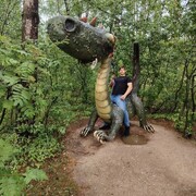 ���������� ������, ���� ����� ������, 18 ���, ������������ ��� ������, ����� � ���������, c�������� ���������, ���������