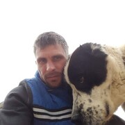  ,   , 41 ,   ,   