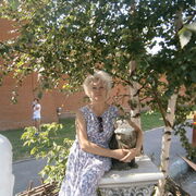  ,   , 62 ,   c 