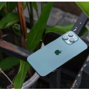 ���������� ������, ���� ������� Raboni, 31 ���, ������������ ��� ������, ����� � ���������