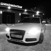 ���������� ��������, ���� ������� �����, 38 ���, ������������ ��� c�������� ���������