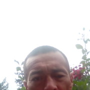  ,   , 51 ,   