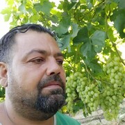  -,   Mehmet, 31 ,   ,   