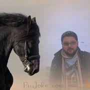 ���������� �������, ���� ������� Dido7000, 43 ����, ������������ ��� ������, ����� � ���������, c�������� ���������