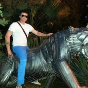 ���������� ����, ���� ������� ������, 40 ���, ������������ ��� ������, ����� � ���������, c�������� ���������