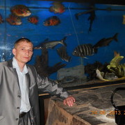  ,   , 38 ,     , c , 