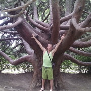 ���������� �����������, ���� ������� Dimon, 41 ���, ������������ ��� ������, ����� � ���������, c�������� ���������