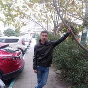  ,   Maxim, 40 ,     , c 