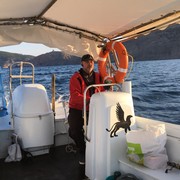 ���������� �����������, ���� ������� ����, 52 ����, ������������ ��� ������, ����� � ���������, c�������� ���������, ���������