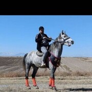 ���������� �����������, ���� ������� �����, 36 ���, ������������ ��� ������, ����� � ���������