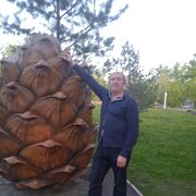 ���������� ����������, ���� ������� �������, 46 ���, ������������ ��� ������, ����� � ���������