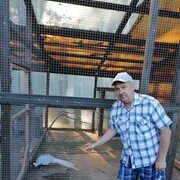 ���������� �������, ���� ������� �����, 49 ���, ������������ ��� c�������� ���������