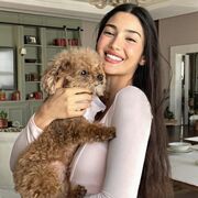 ���������� ��������, ���� ������� ����, 29 ���, ������������ ��� ������, ����� � ���������