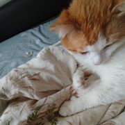  , Sniper