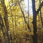 ���������� ������, ���� ������� ������, 41 ���, ������������ ��� ������, ����� � ���������, c�������� ���������