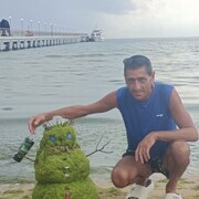  ,   , 51 ,   ,   