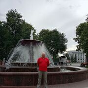 ���������� �����, ���� ������� ����, 66 ���, ������������ ��� ����� � ���������, c�������� ���������