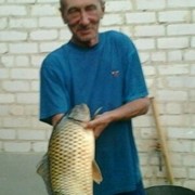  ,   , 63 ,   ,   , c 