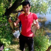 ���������� ������, ���� ������� �����, 33 ����, ������������ ��� ������, ����� � ���������, c�������� ���������