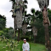 ���������� ������, ���� ������� ������, 40 ���, ������������ ��� ������, ����� � ���������, c�������� ���������