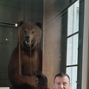  ,   Roma, 51 ,   ,   , c 