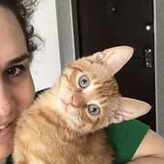 ���������� ������, ���� ������� ���������, 31 ���, ������������ ��� ������, ����� � ���������